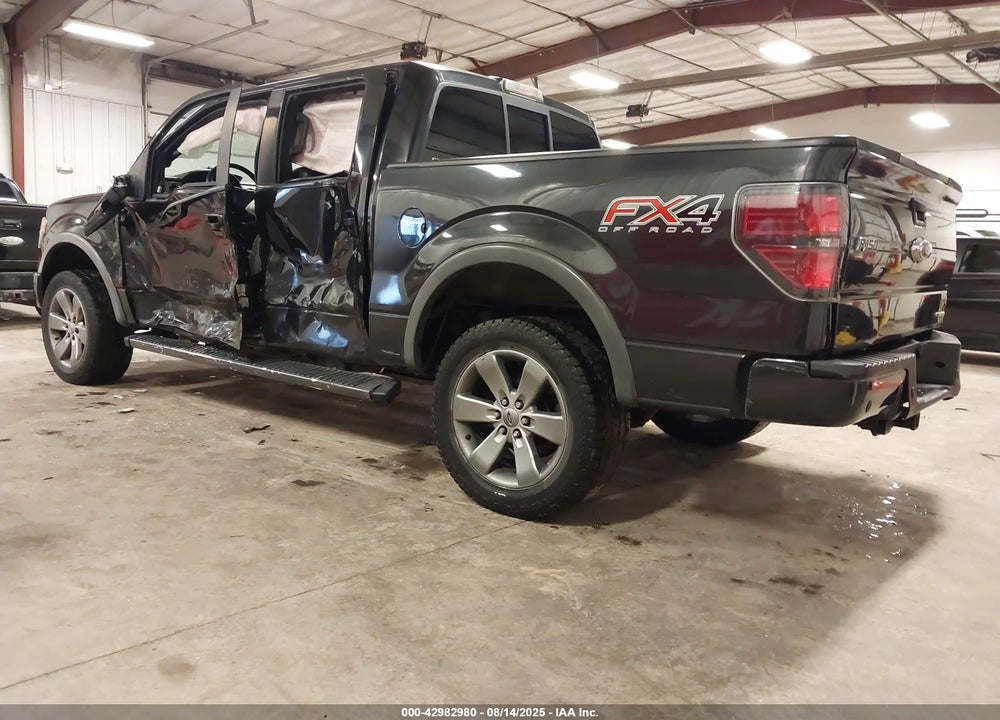 2013 FORD F-150 VIN: 1FTFW1EF1DKD34513