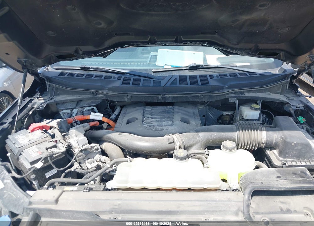 2021 FORD F-150 VIN: 1FTFW1ED0MFC28416