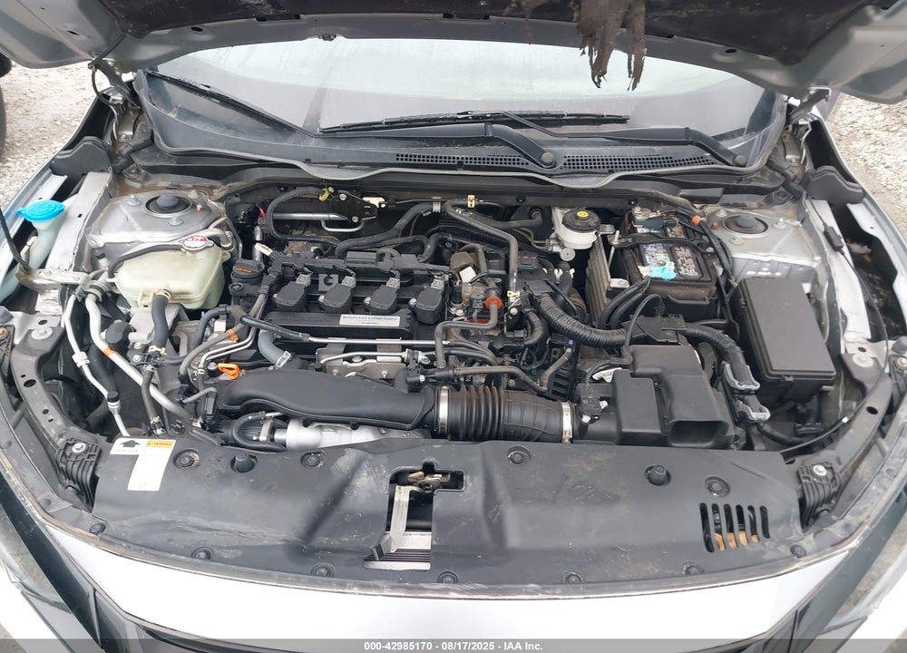 2019 HONDA CIVIC VIN: 19XFC1F70KE010288