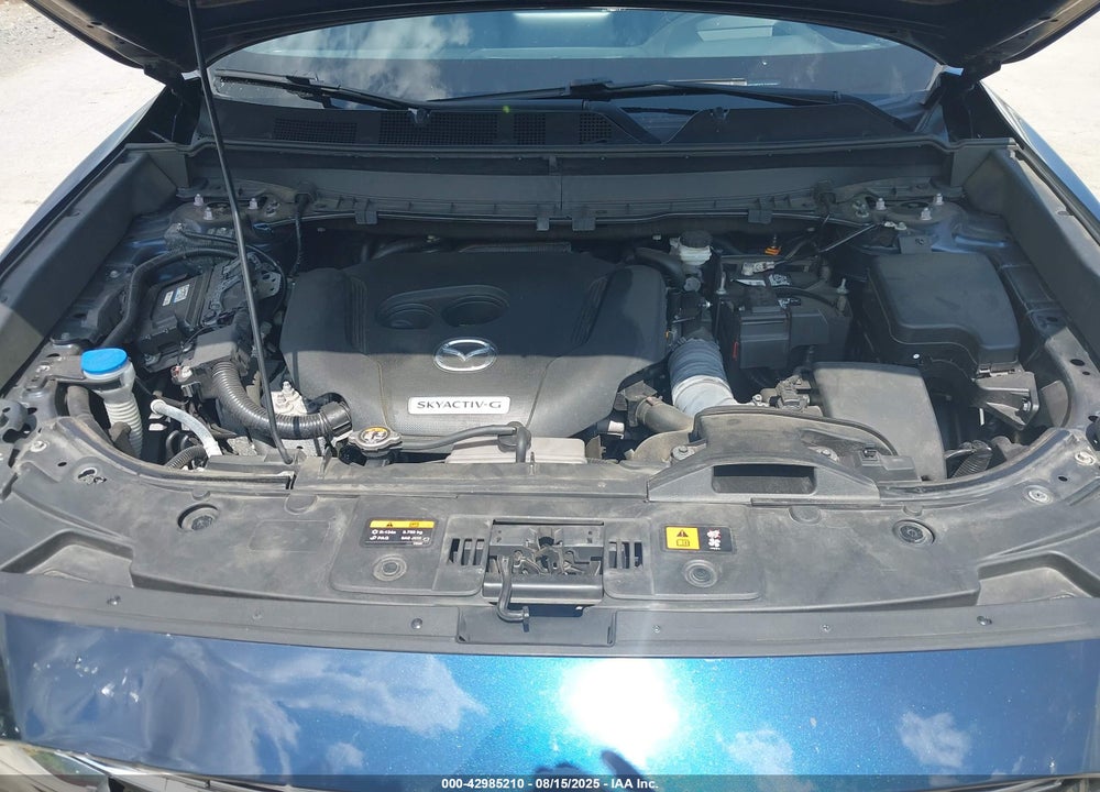 2020 MAZDA CX-9 VIN: JM3TCBDY7L0424500