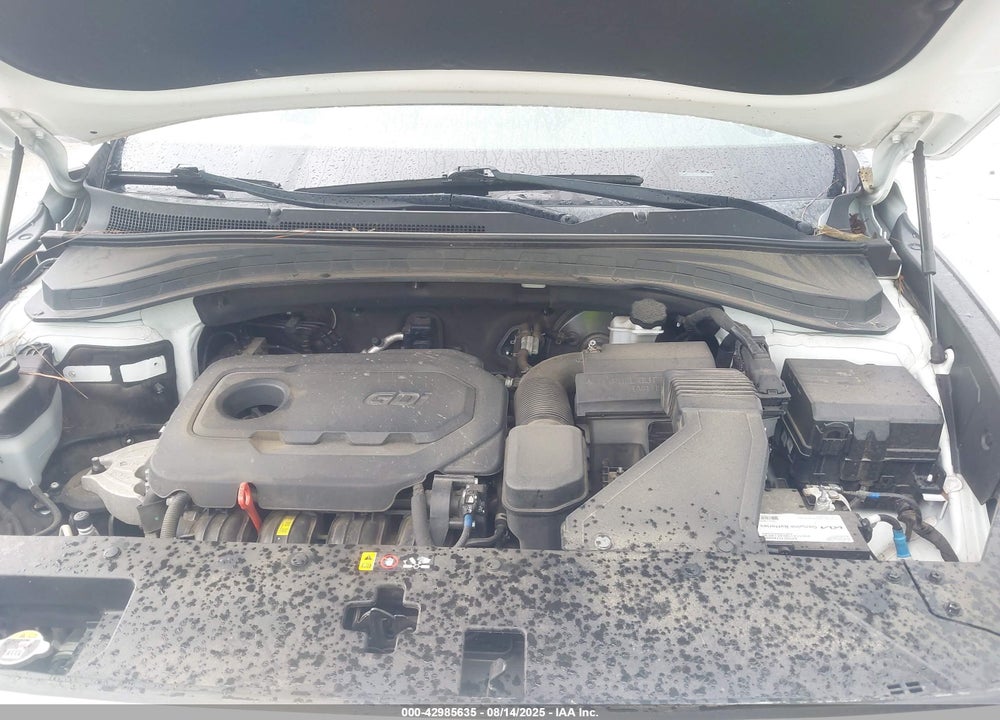 2019 HYUNDAI SANTA FE VIN: 5NMS2CAD3KH106693