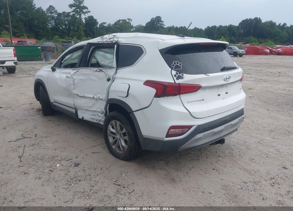 2019 HYUNDAI SANTA FE VIN: 5NMS2CAD3KH106693