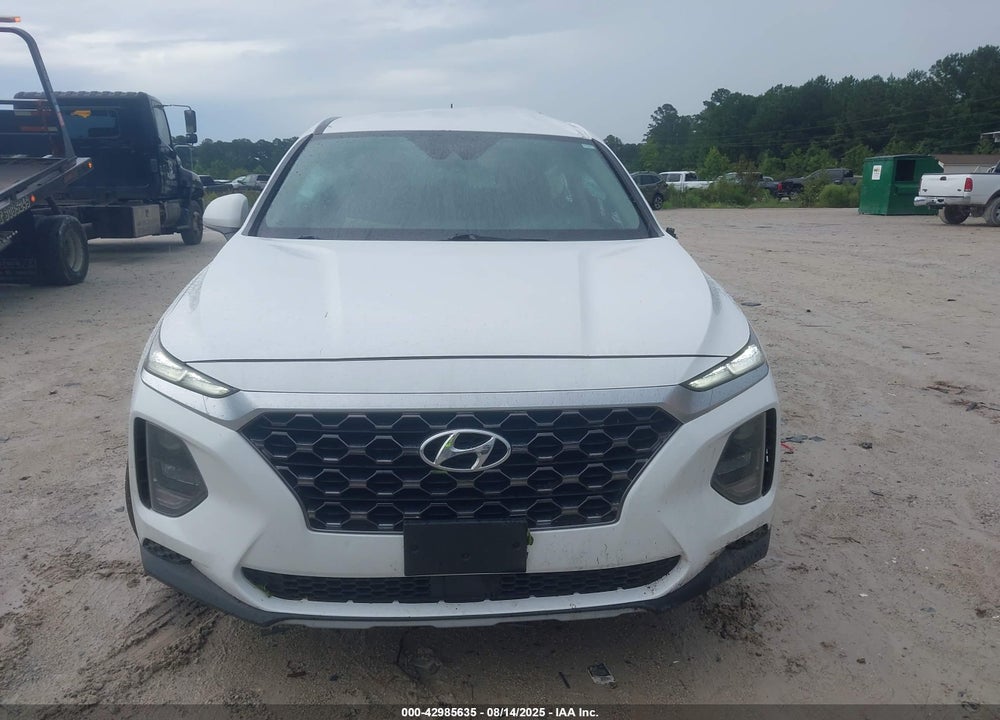 2019 HYUNDAI SANTA FE VIN: 5NMS2CAD3KH106693
