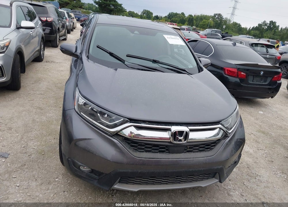 2019 HONDA CR-V VIN: 5J6RW2H59KL014718