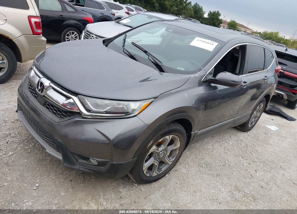 2019 HONDA CR-V VIN: 5J6RW2H59KL014718