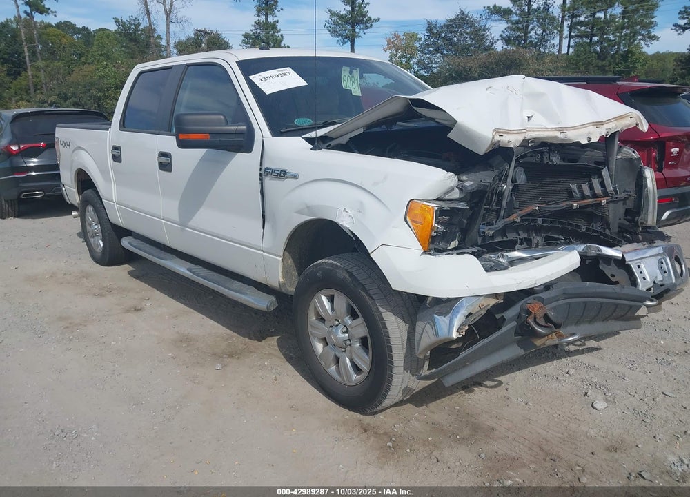 2010 FORD F-150 XL/XLT VIN: 1FTEW1E83AFD29556