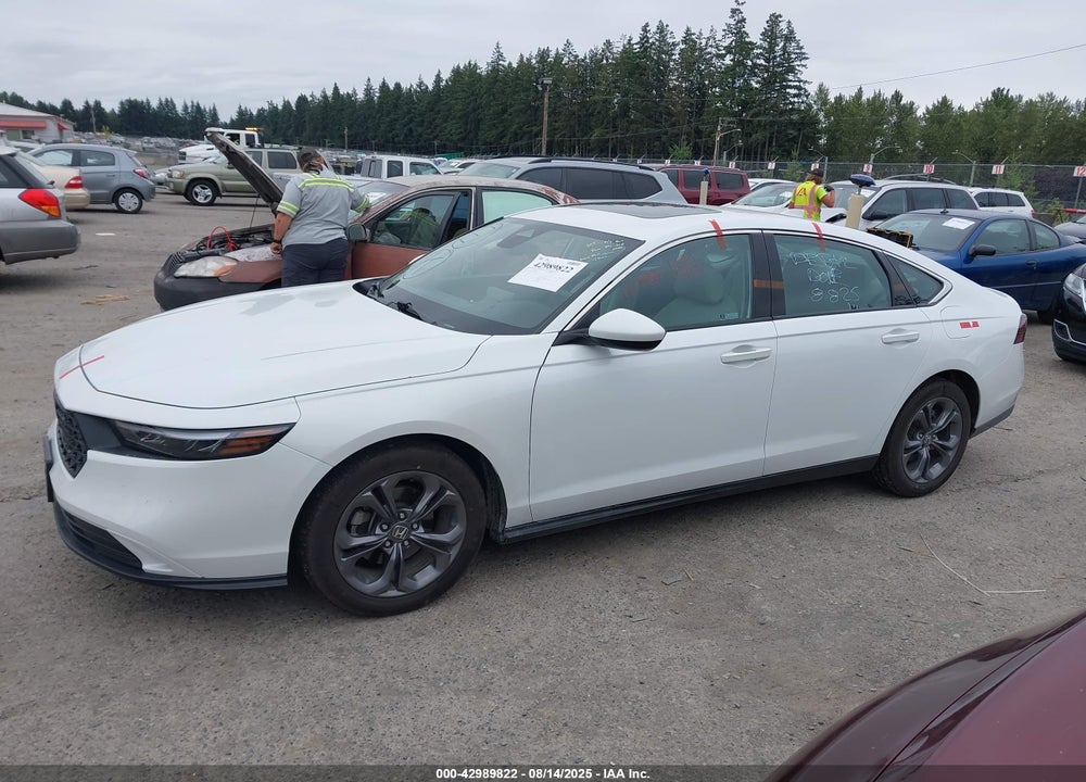 2023 HONDA ACCORD VIN: 1HGCY1F33PA018883