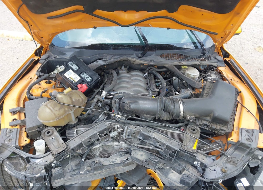 2019 FORD MUSTANG GT PREMIUM VIN: 1FA6P8CF7K5201698