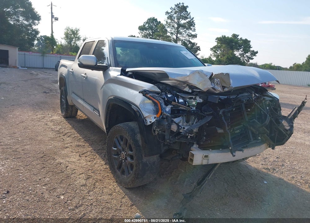 2022 TOYOTA TUNDRA PLATINUM VIN: 5TFNA5DB0NX040251