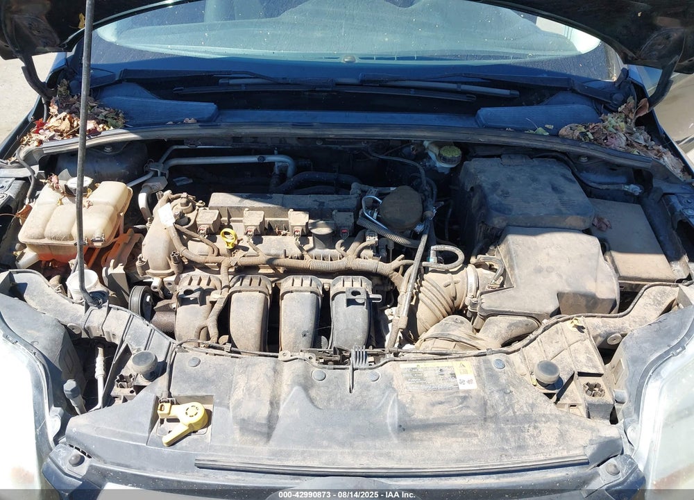 2013 FORD FOCUS VIN: 1FADP3F27DL165061