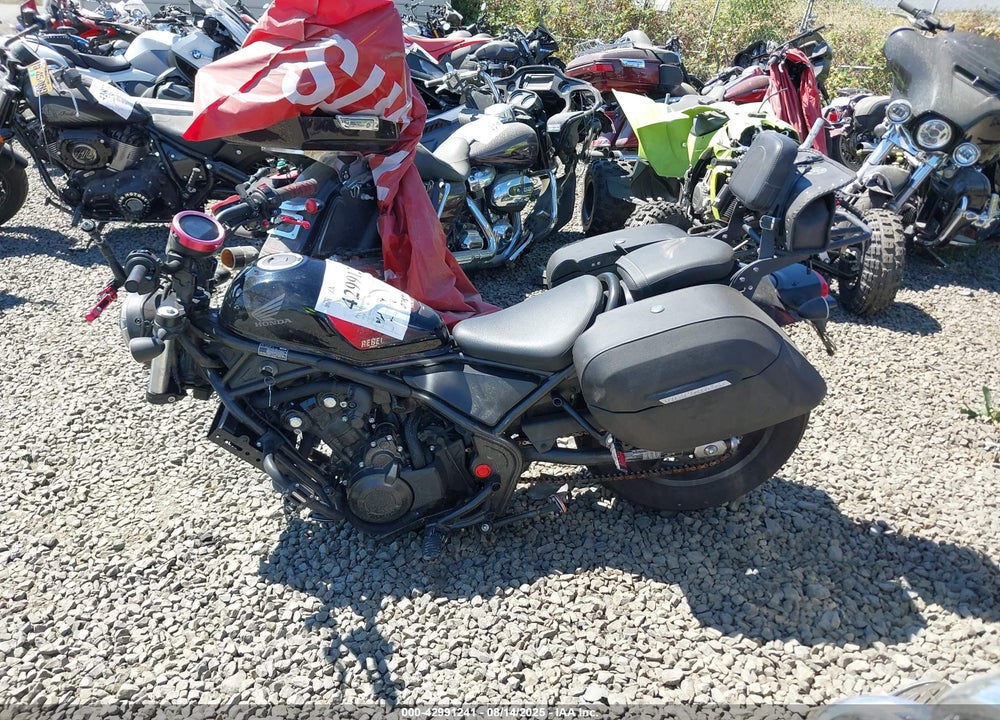 2020 HONDA CMX500 VIN: MLHPC5603L5300582