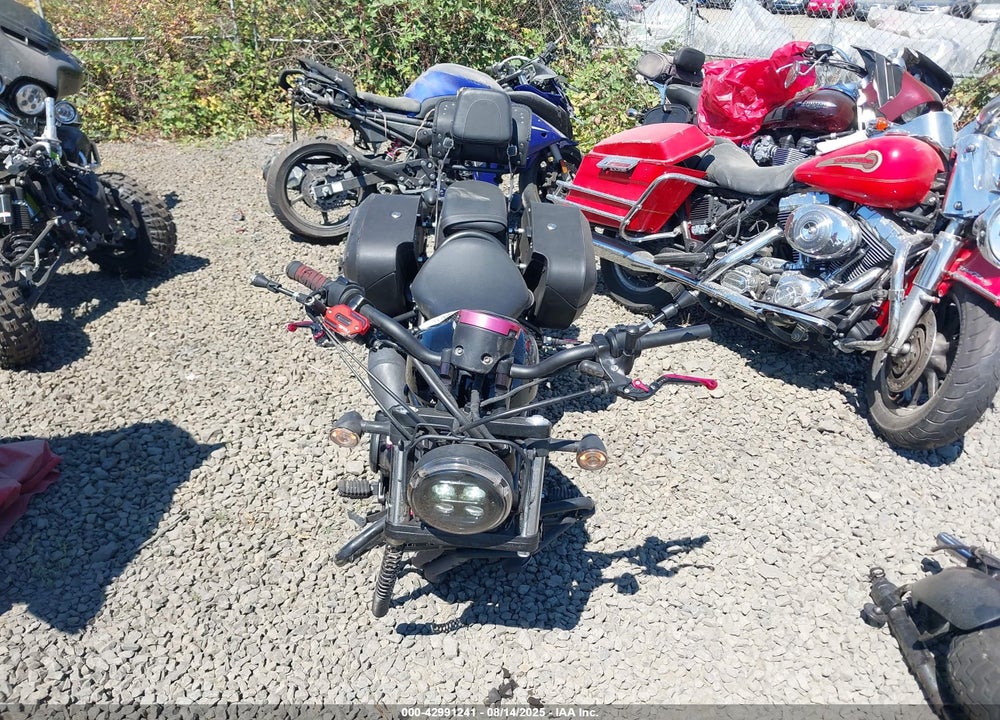 2020 HONDA CMX500 VIN: MLHPC5603L5300582
