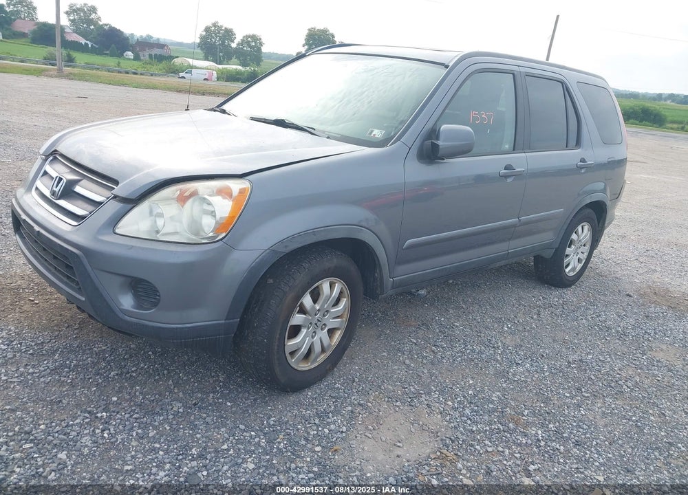 2006 HONDA CR-V SE VIN: JHLRD78926C003113