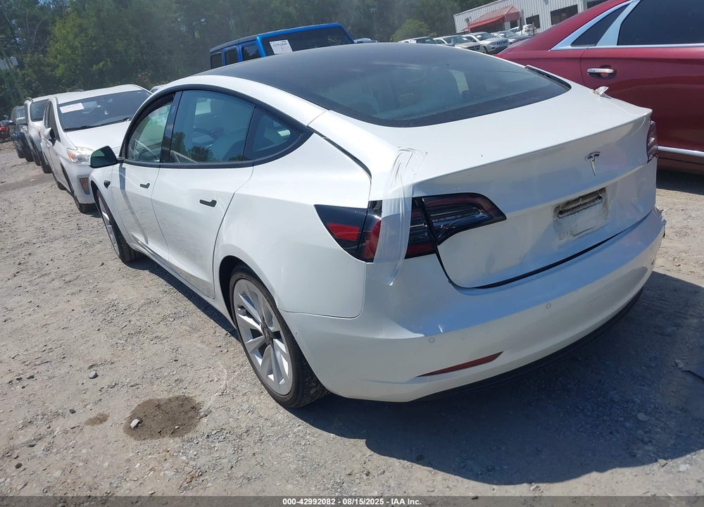 2021 TESLA MODEL 3 VIN: 5YJ3E1EA9MF019269