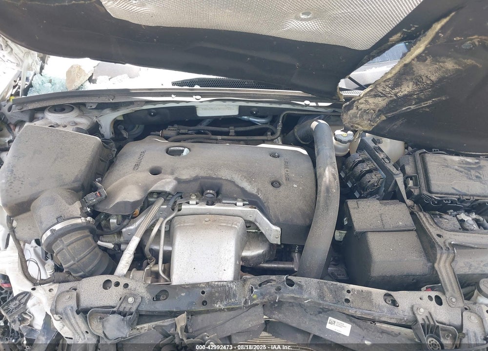 2019 BUICK REGAL SPORTBACK VIN: W04GM6SX7K1007809