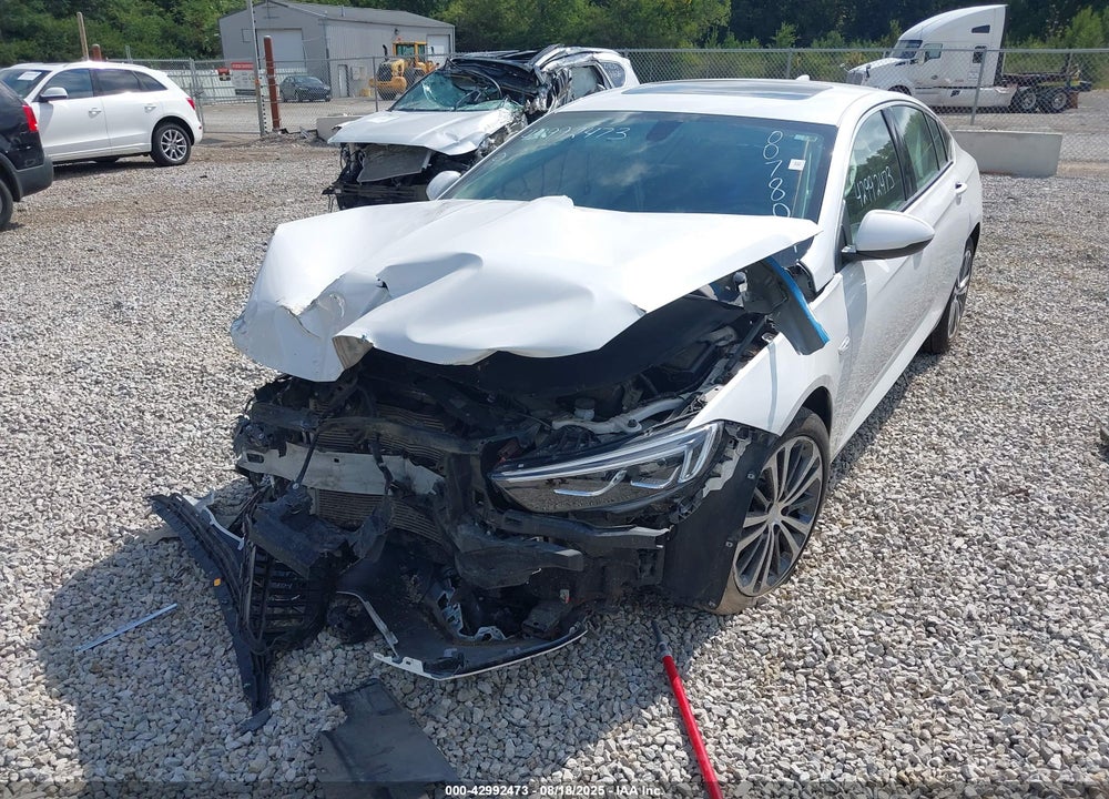 2019 BUICK REGAL SPORTBACK VIN: W04GM6SX7K1007809