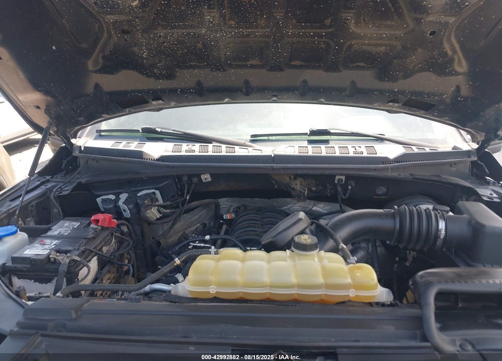2019 FORD F-150 XL VIN: 1FTEW1C53KFC28978