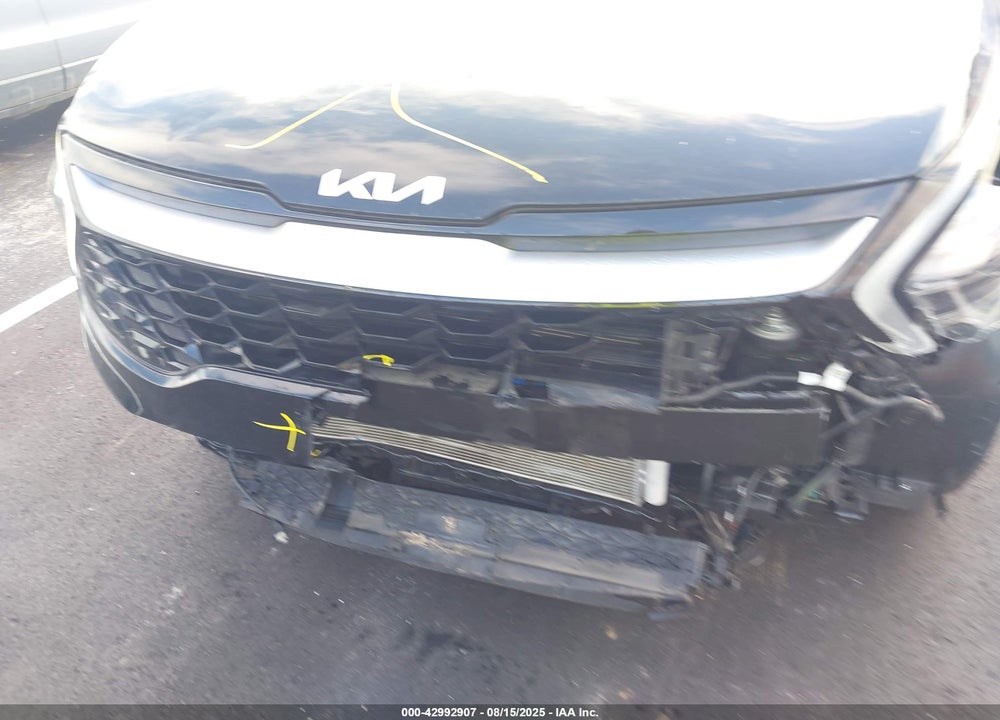 2024 KIA SPORTAGE VIN: 5XYK33DF5RG161029