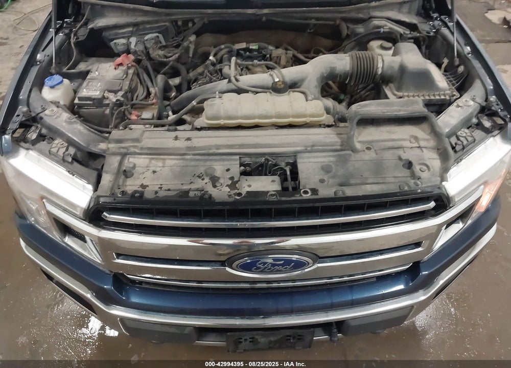2019 FORD F-150 VIN: 1FTEW1EP1KKE16694