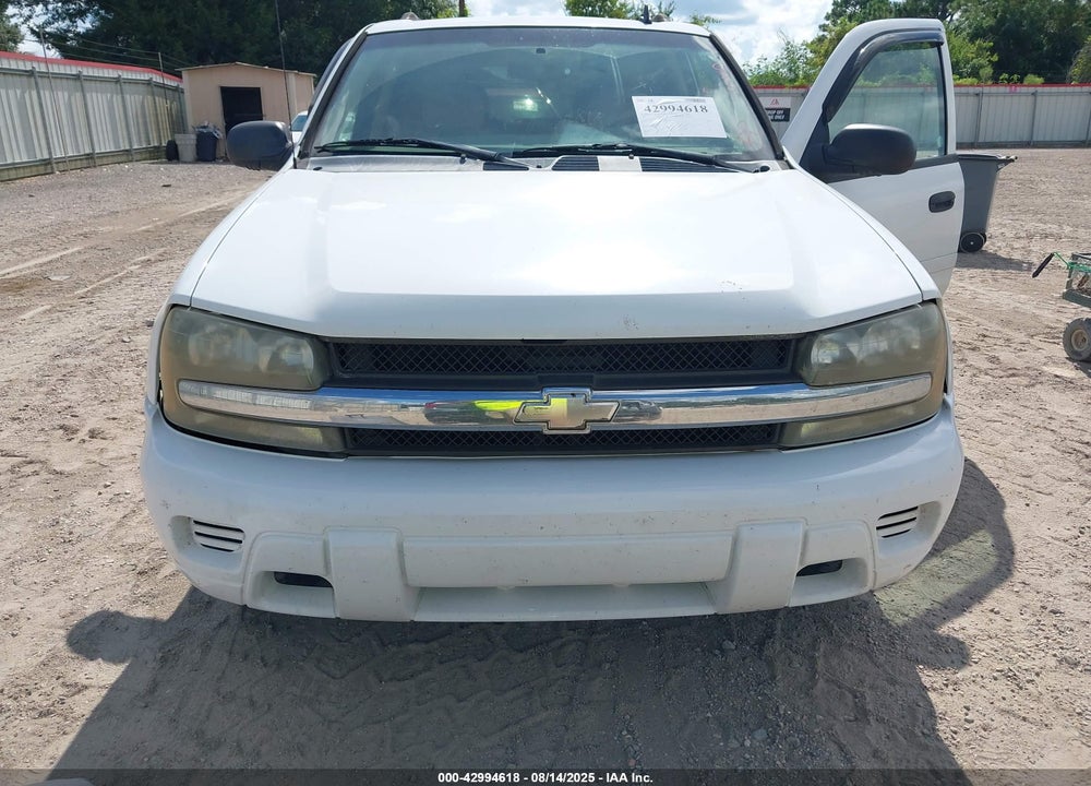 2007 CHEVROLET TRAILBLAZER LS VIN: 1GNDS13S172263845