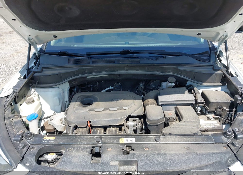 2017 HYUNDAI SANTA FE VIN: 5NMZUDLB7HH006616
