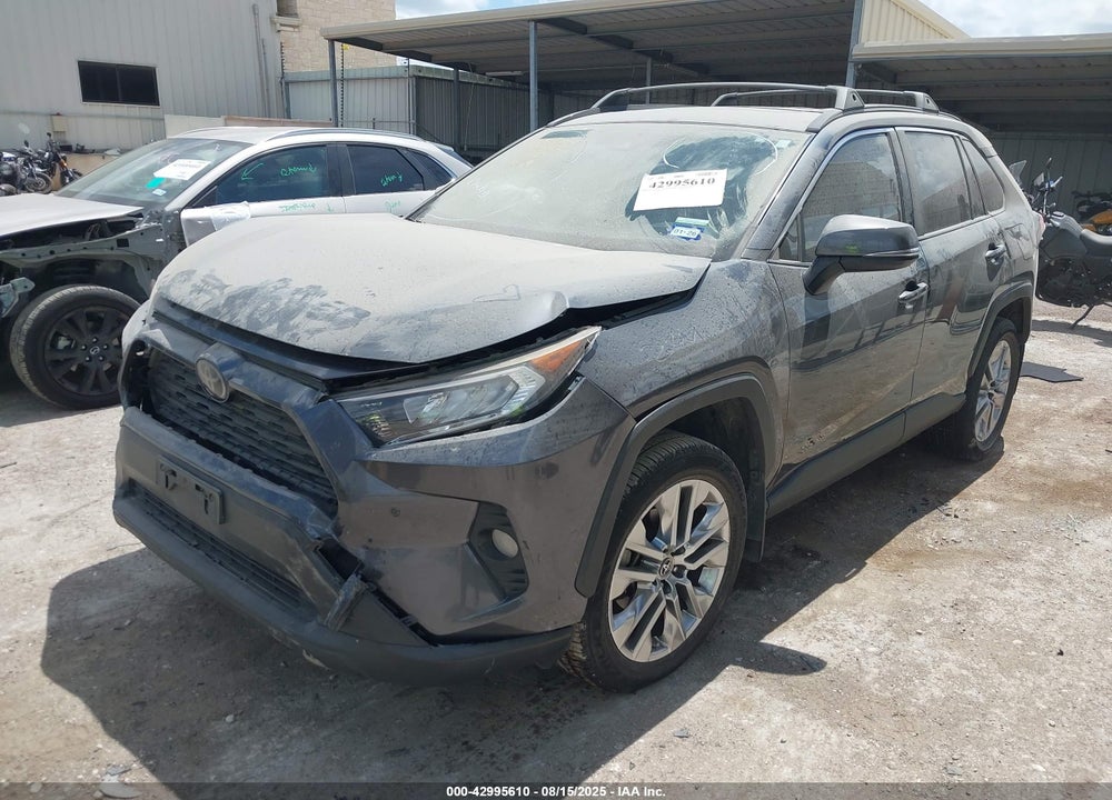 2019 TOYOTA RAV4 VIN: JTMC1RFV0KD005597