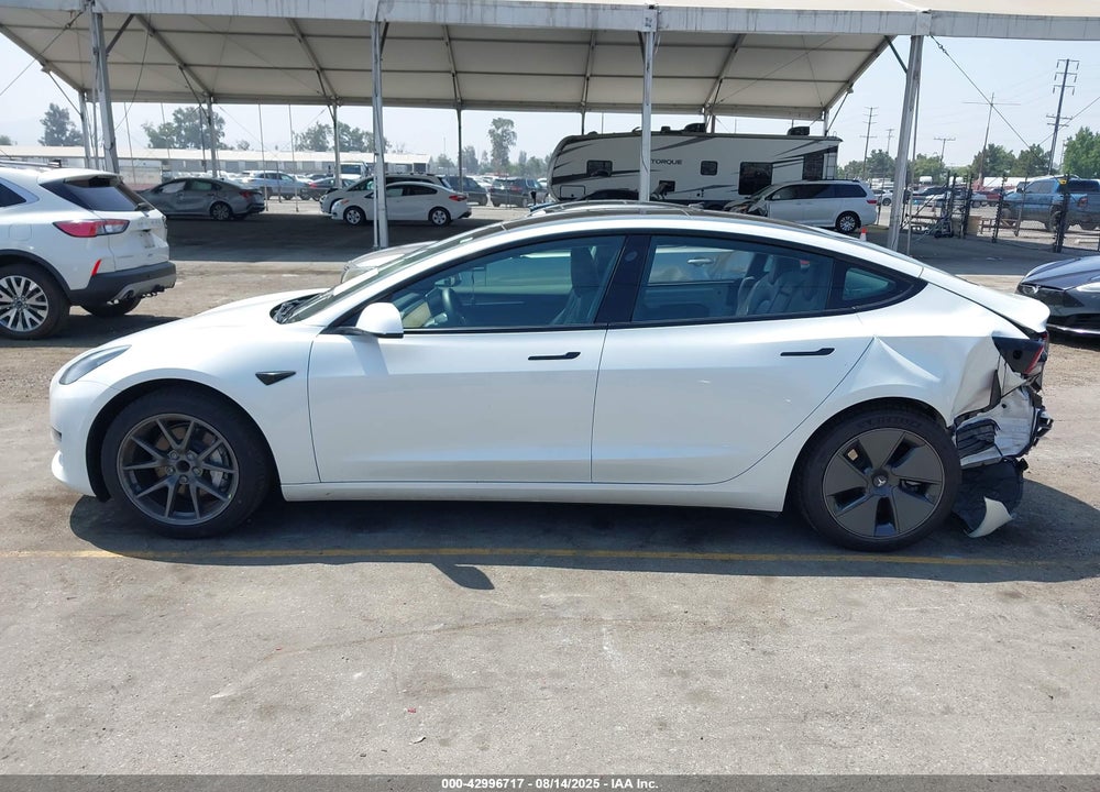 2023 TESLA MODEL 3 REAR-WHEEL DRIVE VIN: 5YJ3E1EA9PF499043