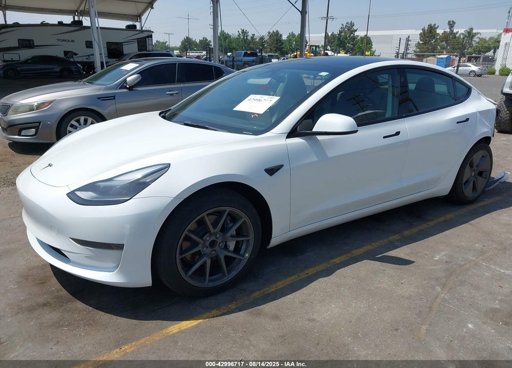 2023 TESLA MODEL 3 REAR-WHEEL DRIVE VIN: 5YJ3E1EA9PF499043