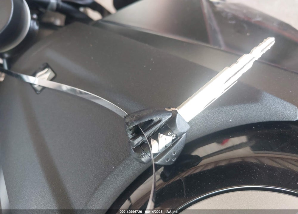 2025 SUZUKI GSX800 F VIN: JS1EM13B2S7100196