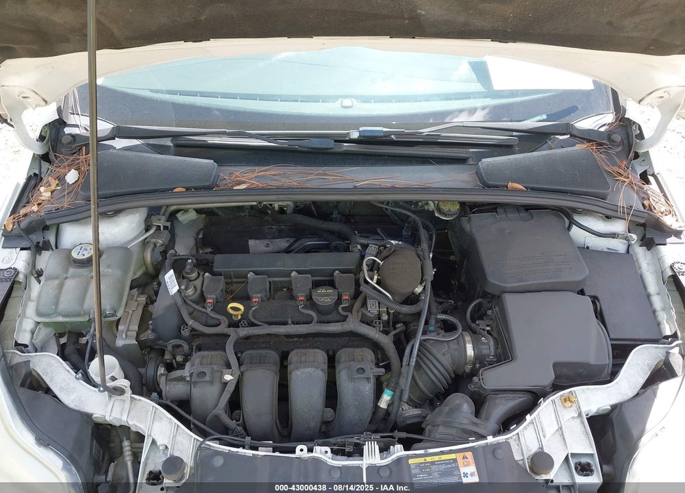 2013 FORD FOCUS VIN: 1FADP3E21DL260023