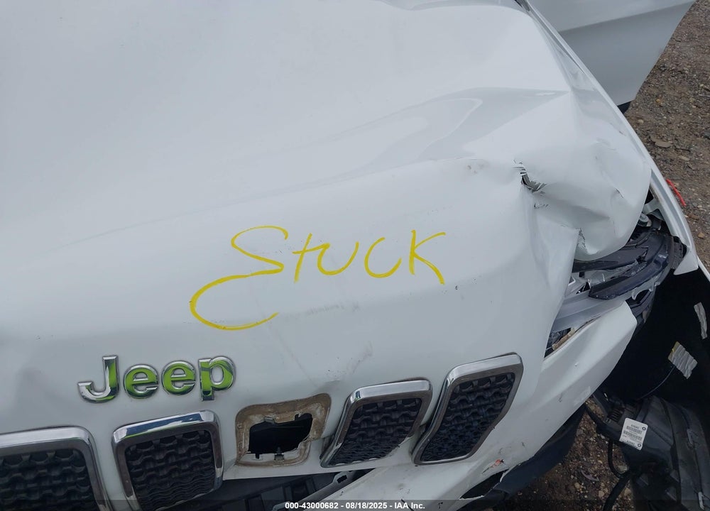 2019 JEEP CHEROKEE VIN: 1C4PJMDXXKD413095