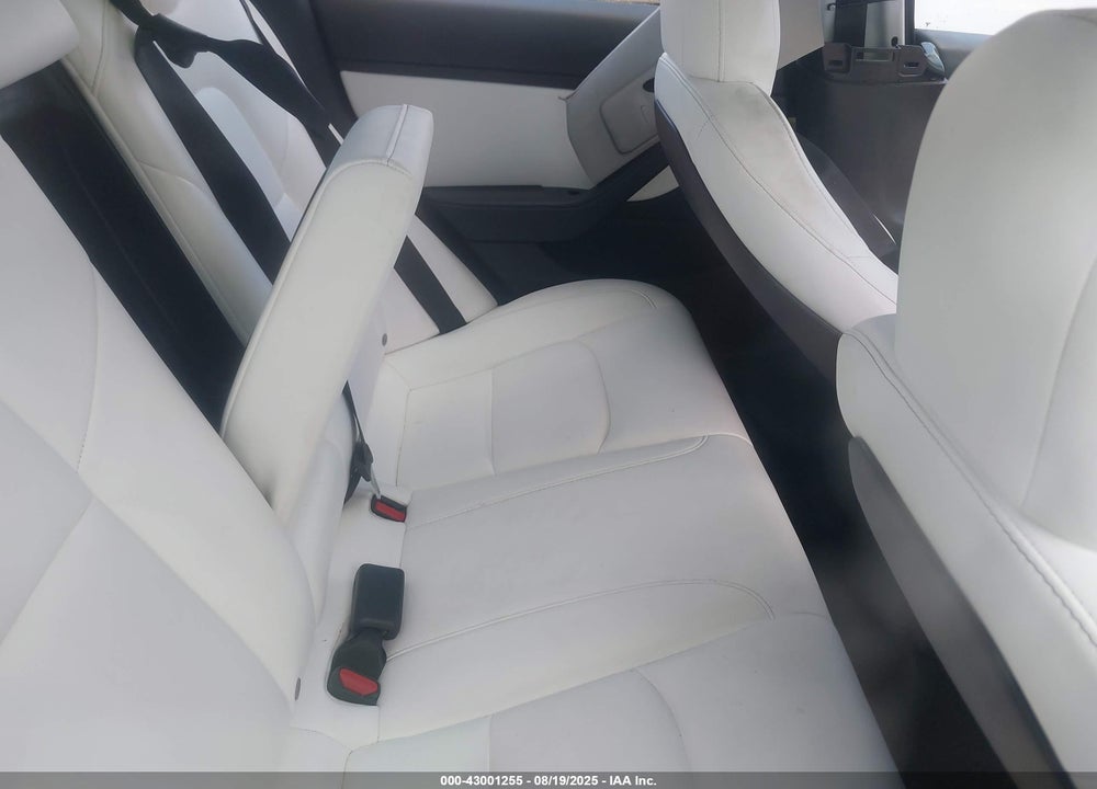 2019 TESLA MODEL 3 LONG RANGE/MID RANGE/STANDARD RANGE/STANDARD RANGE PLUS VIN: 5YJ3E1EA1KF315142