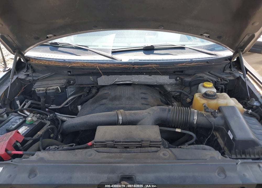 2014 FORD F-150 VIN: 1FTFW1ET8EKE64019
