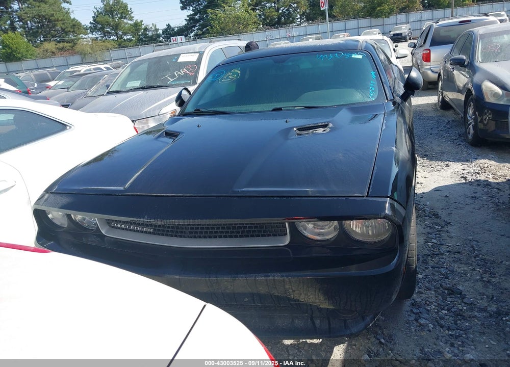 2013 DODGE CHALLENGER VIN: 2C3CDYAG9DH695273