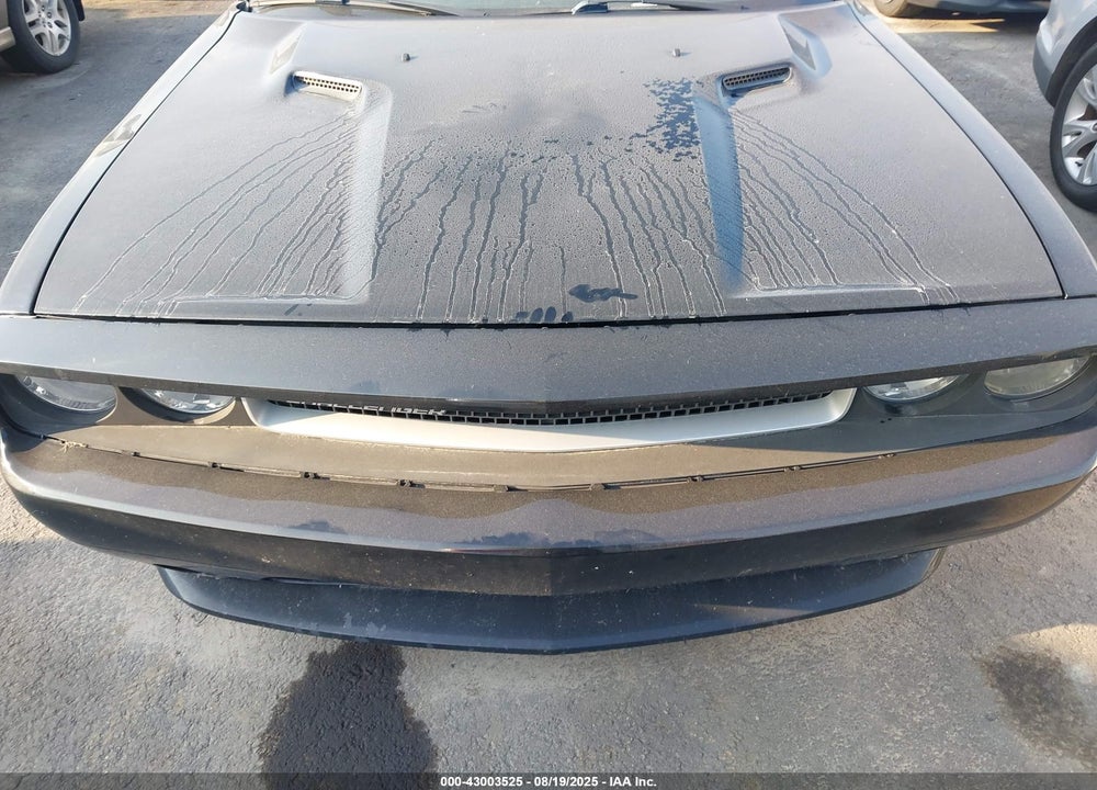 2013 DODGE CHALLENGER VIN: 2C3CDYAG9DH695273