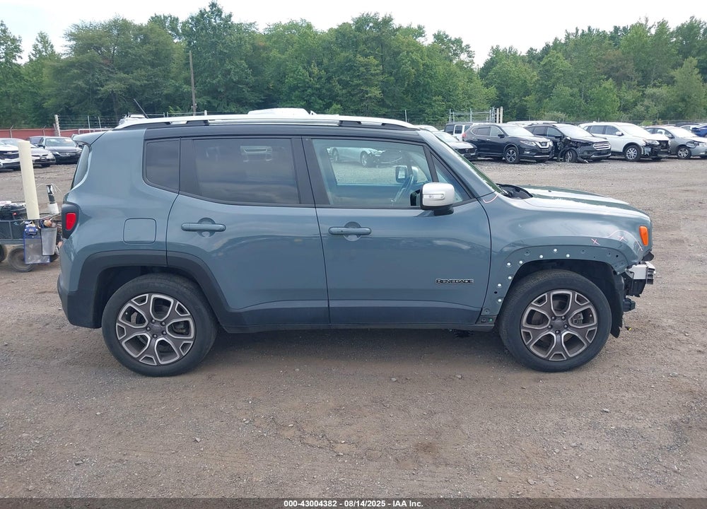 2017 JEEP RENEGADE VIN: ZACCJBDB9HPF39661