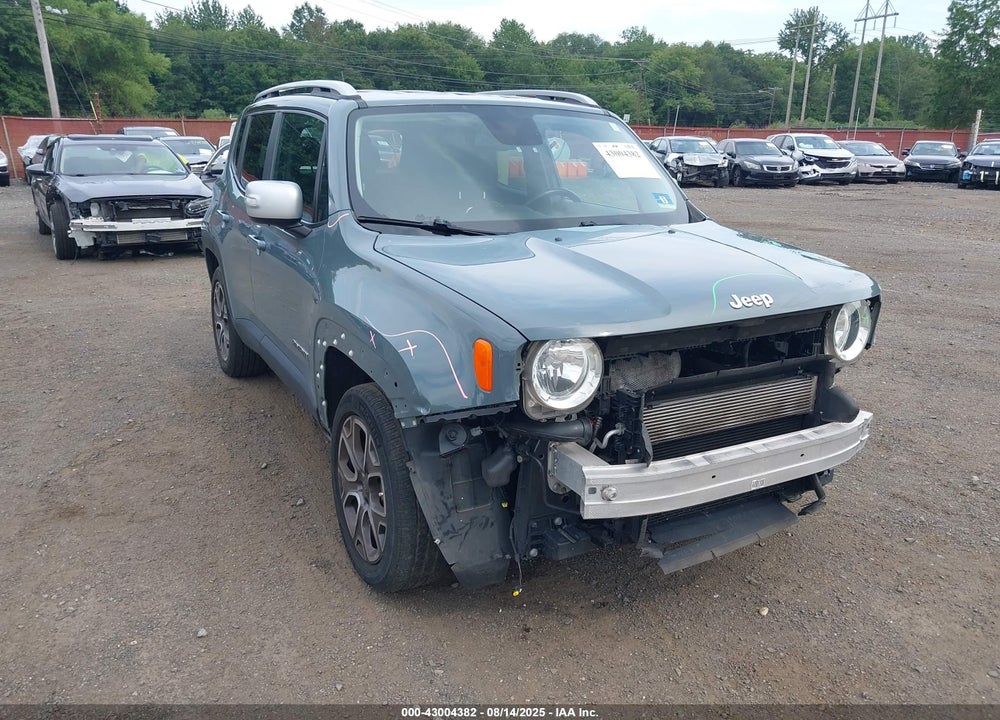 2017 JEEP RENEGADE VIN: ZACCJBDB9HPF39661