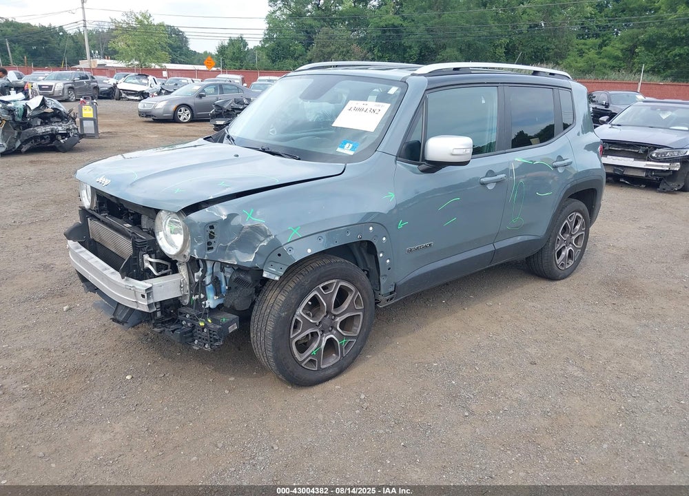 2017 JEEP RENEGADE VIN: ZACCJBDB9HPF39661