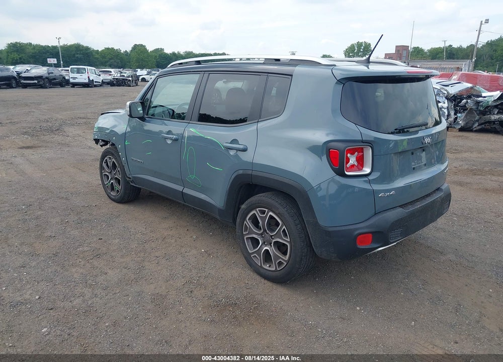 2017 JEEP RENEGADE VIN: ZACCJBDB9HPF39661
