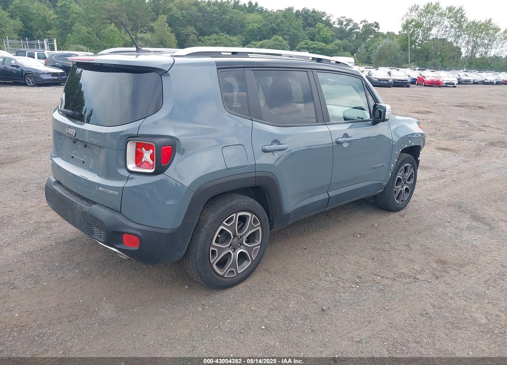 2017 JEEP RENEGADE VIN: ZACCJBDB9HPF39661