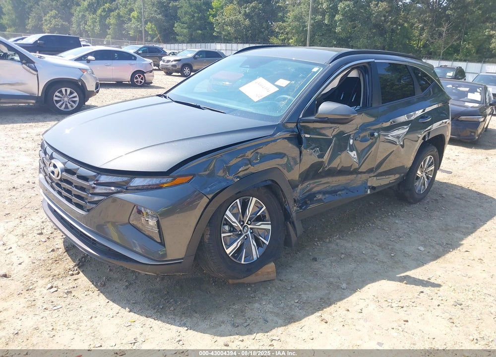 2024 HYUNDAI TUCSON HYBRID BLUE VIN: KM8JBCD15RU195873