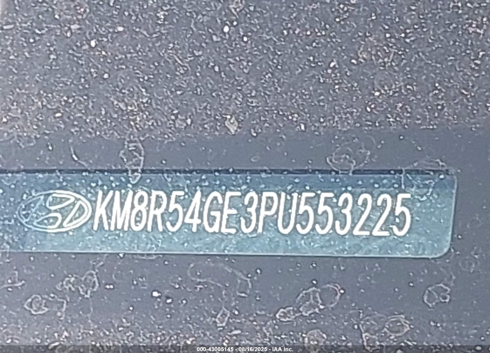 2023 HYUNDAI PALISADE VIN: KM8R54GE3PU553225