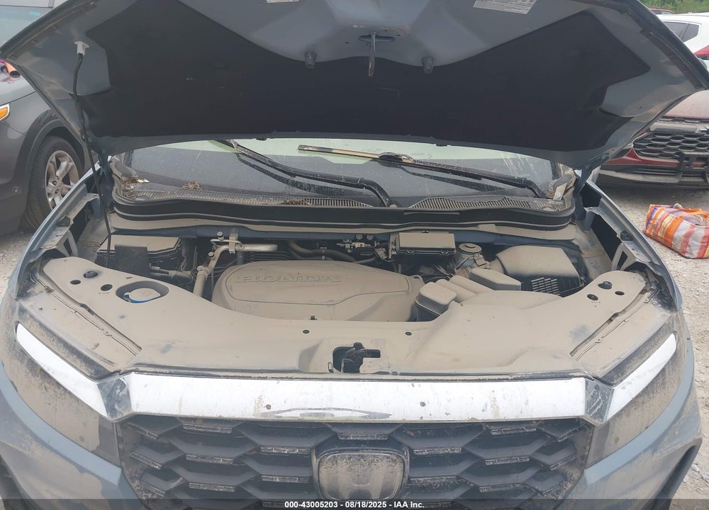 2023 HONDA PASSPORT VIN: 5FNYF8H5XPB026276