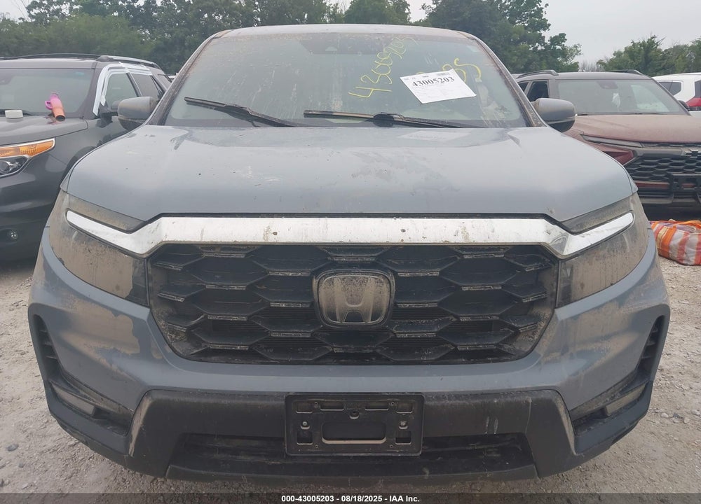 2023 HONDA PASSPORT VIN: 5FNYF8H5XPB026276