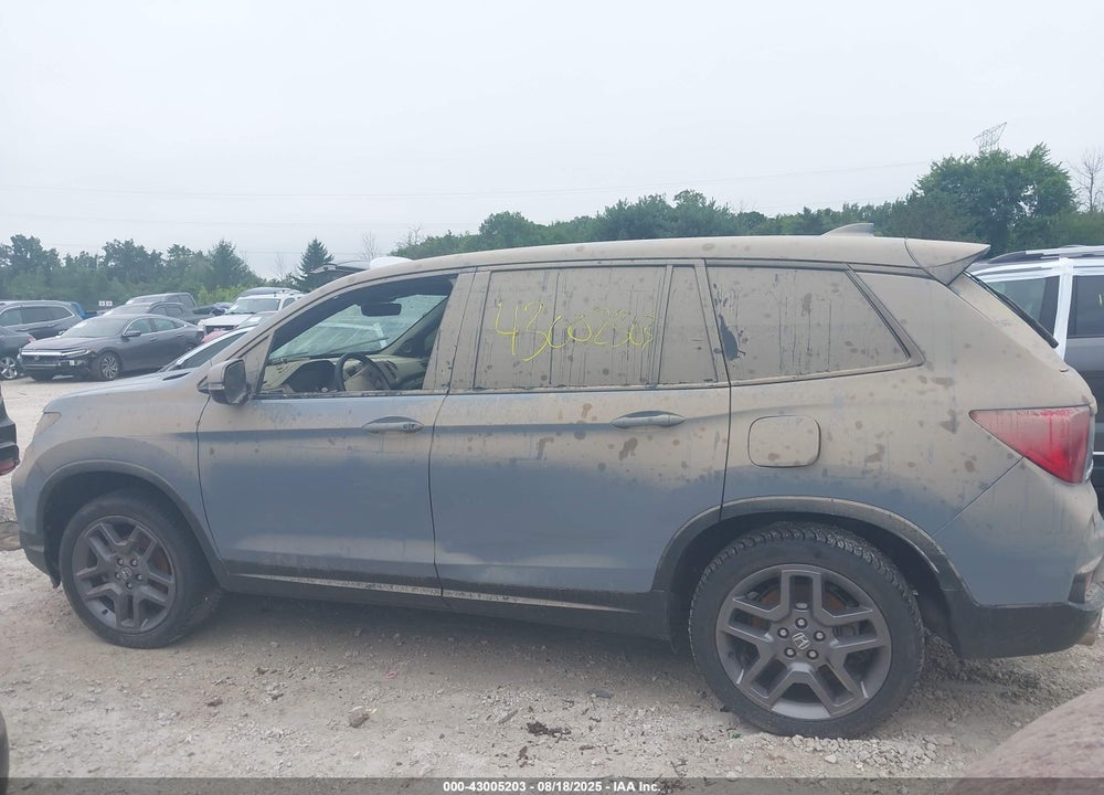 2023 HONDA PASSPORT VIN: 5FNYF8H5XPB026276