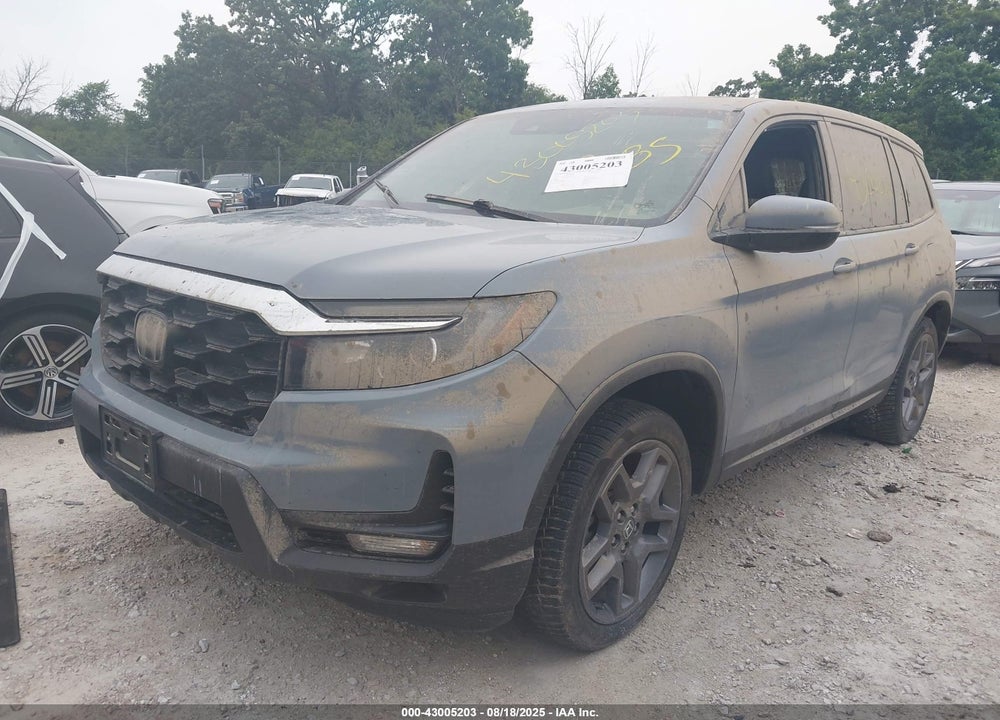 2023 HONDA PASSPORT VIN: 5FNYF8H5XPB026276
