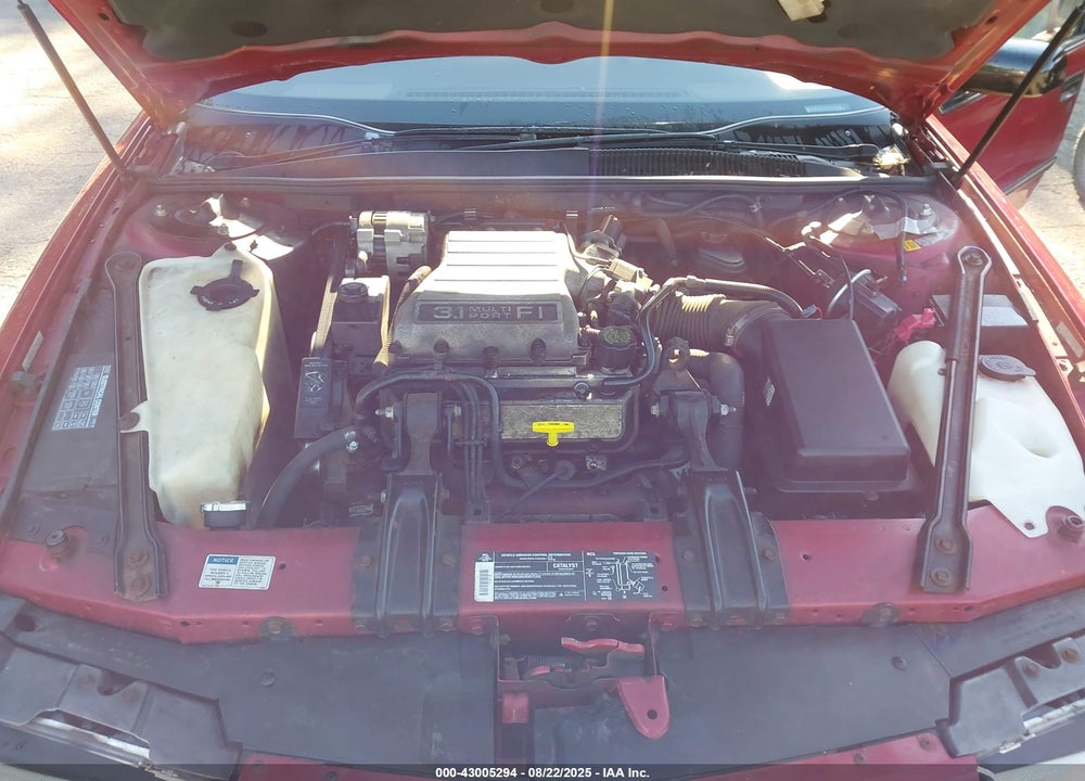 1993 CHEVROLET LUMINA VIN: 2G1WL54T1P9161484
