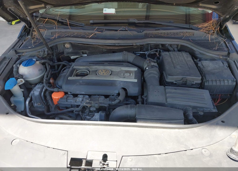 2010 VOLKSWAGEN CC VIN: WVWHP7AN5AE541065