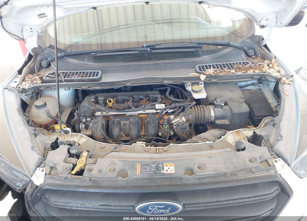 2019 FORD ESCAPE VIN: 1FMCU0F73KUA78981