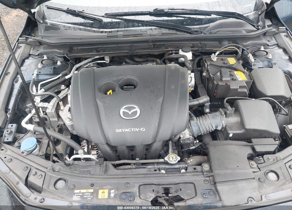 2019 MAZDA 3 VIN: JM1BPANM8K1135116
